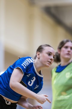 Bild 159 - wBJ TSV Ellerau - HSG Stoertal Hummeln : Ergebnis: 26:19